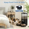 6L Automatic Cat Feeder for 2 Cats, Timed Cat Food Dispenser with 2 Stainless Bowls, 10s Voice Recorder, Dual Power Supply